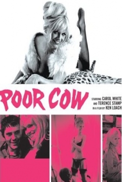 Poster Poor Cow