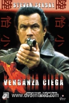 Poster Venganza Ciega