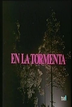 Poster En la Tormenta