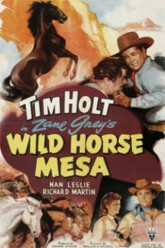 Poster Wild Horse Mesa