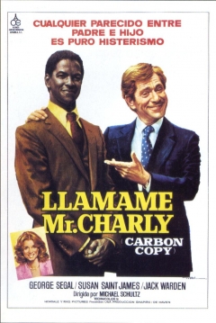 Poster Llámame Mr. Charly