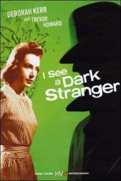 Poster I See A Dark Stranger