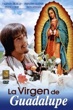 Ficha La Virgen de Guadalupe