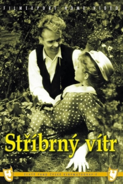 Poster Silvery Wind