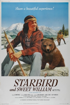 Poster Starbird and Sweet William