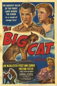 Poster El Gran Gato
