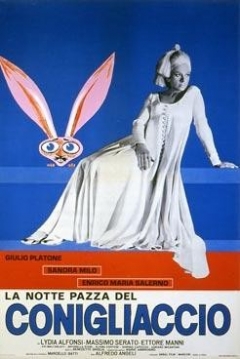 Poster The Strange Night