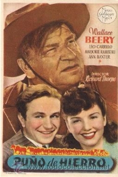 Poster Puño de Hierro