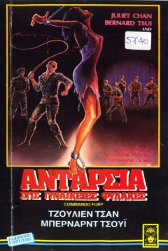 Poster Commando Fury