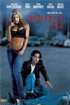 Poster Perfect Fit