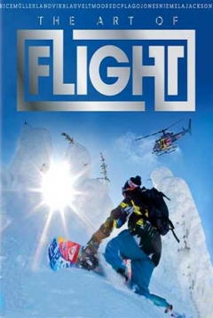 Poster The Art of Flight