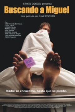 Poster Buscando A Miguel