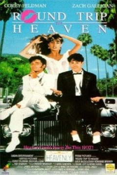 Poster Round Trip To Heaven