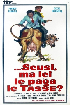 Poster Scusi, Ma Lei Le Paga Le Tasse?