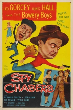 Poster Spy Chasers
