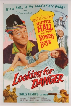 Poster Looking for Danger