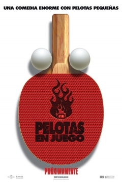 Ficha Pelotas en Juego
