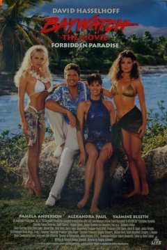 Poster Los Vigilantes de la Playa: La Película