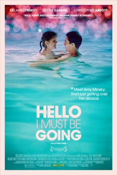 Poster Hello I Must Be Going