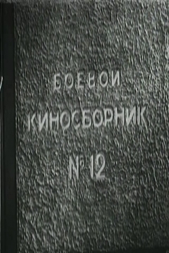 Poster Collection of Films for the Armed Forces #12 (Victory Will Be Ours, Part 12)