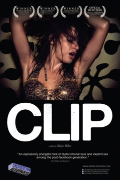 Ficha Clip