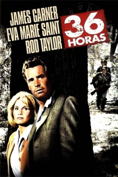 Poster 36 Horas