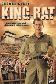 Poster King Rat