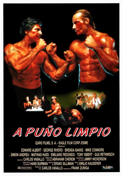 Ficha A Puño Limpio