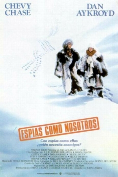 Poster Espías como Nosotros