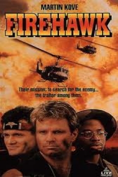 Poster Halcones de Fuego