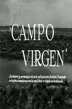 Poster Campo Virgen