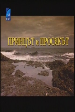 Poster The Prince and the Pauper