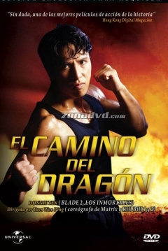Poster In the Line of Duty 4: El camino del dragón