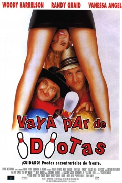 Poster Vaya Par de Idiotas