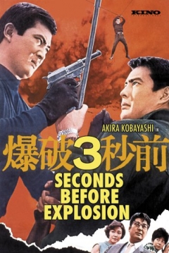 Poster 3 Seconds Before Explosion
