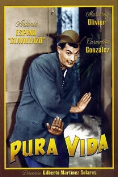Poster Pura Vida