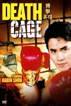 Poster Kickboxer Asesino