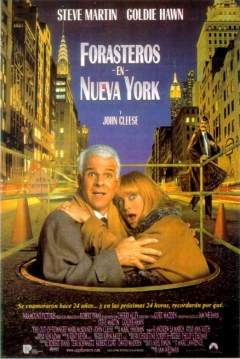 Poster Forasteros en Nueva York