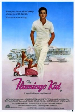 Poster The Flamingo Kid