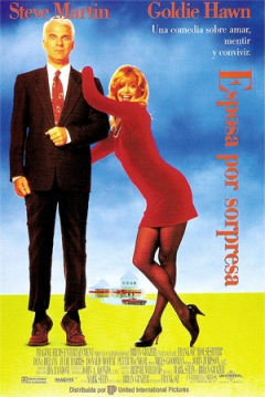 Poster Esposa por Sorpresa
