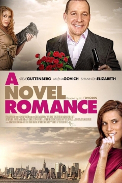 Poster A Novel Romance