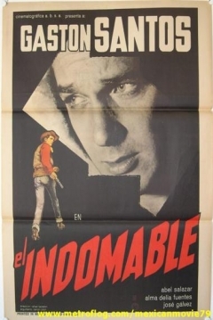 Poster El Indomable