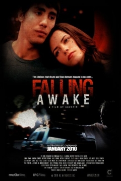 Ficha Falling Awake