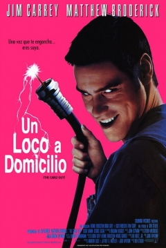 Ficha Un Loco a Domicilio