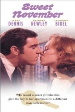 Poster Dulce noviembre