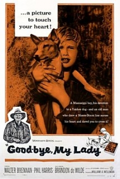 Poster El Niño y el Perro