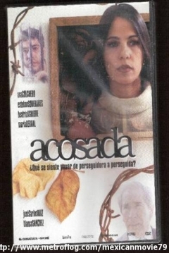 Poster Acosada