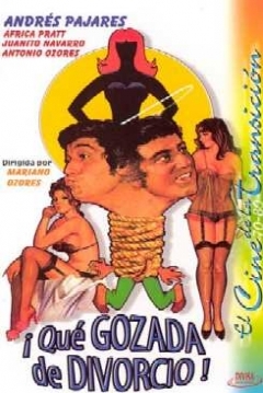 Poster ¡Qué Gozada de Divorcio!