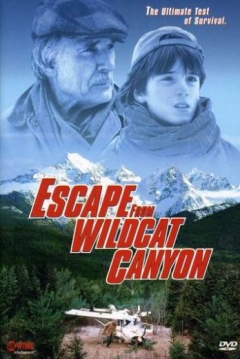 Poster Aventuras en Wildcat Canyon