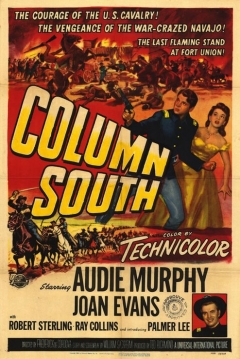 Poster Columna Al Sur